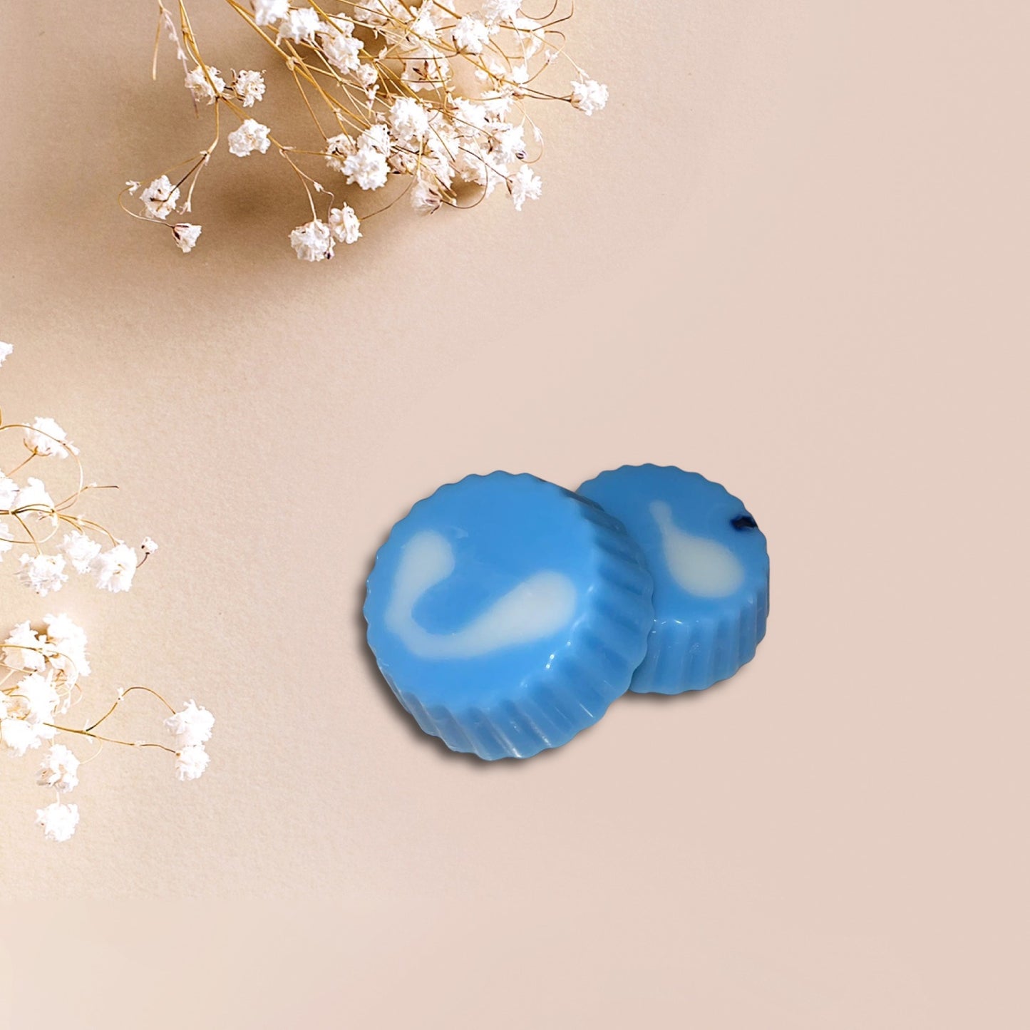 Nos fondants parfumés soupline 10g