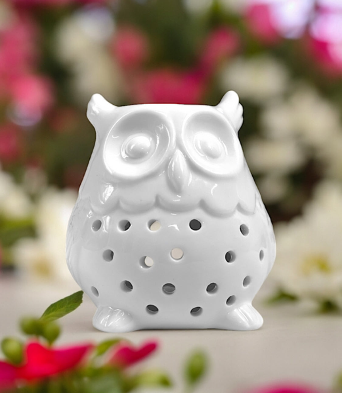 Nos brûle parfum hibou